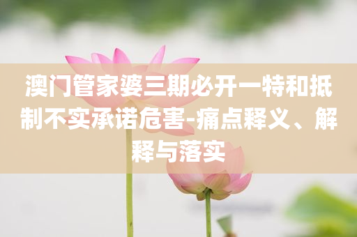 澳門管家婆三期必開一特和抵制不實(shí)承諾危害-痛點(diǎn)釋義、解釋與落實(shí)