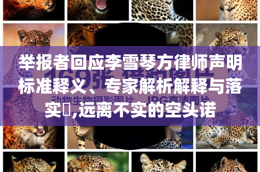 舉報(bào)者回應(yīng)李雪琴方律師聲明標(biāo)準(zhǔn)釋義、專家解析解釋與落實(shí)?,遠(yuǎn)離不實(shí)的空頭諾