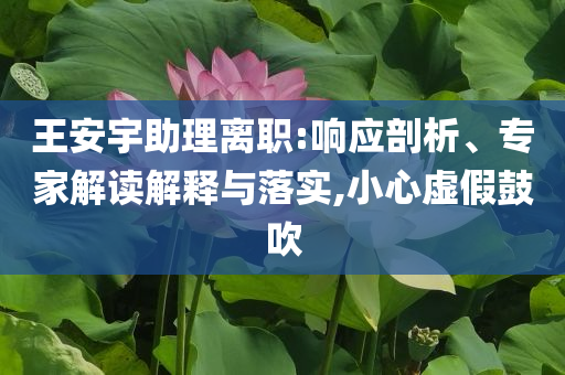王安宇助理離職:響應剖析、專家解讀解釋與落實,小心虛假鼓吹