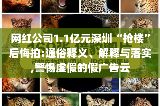 網(wǎng)紅公司1.1億元深圳“搶樓”后悔拍:通俗釋義、解釋與落實(shí),警惕虛假的假?gòu)V告云