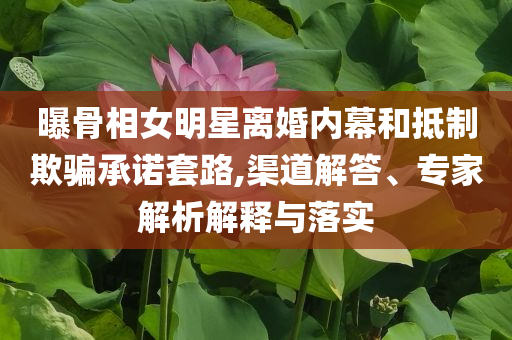 曝骨相女明星離婚內(nèi)幕和抵制欺騙承諾套路,渠道解答、專家解析解釋與落實(shí)