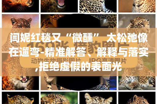 閆妮紅毯又“微醺” 太松弛像在遛彎-精準(zhǔn)解答、解釋與落實(shí),拒絕虛假的表面光