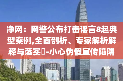 凈網(wǎng)：網(wǎng)警公布打擊謠言8起典型案例,全面剖析、專家解析解釋與落實(shí)?-小心偽假宣傳陷阱