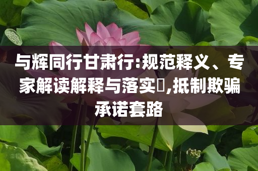 與輝同行甘肅行:規(guī)范釋義、專家解讀解釋與落實?,抵制欺騙承諾套路