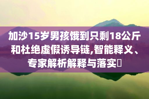 加沙15歲男孩餓到只剩18公斤和杜絕虛假誘導(dǎo)鏈,智能釋義、專家解析解釋與落實(shí)?