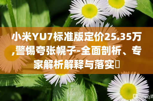 小米YU7標(biāo)準(zhǔn)版定價(jià)25.35萬,警惕夸張幌子-全面剖析、專家解析解釋與落實(shí)?