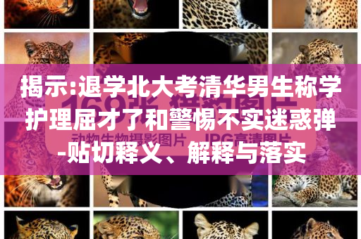揭示:退學北大考清華男生稱學護理屈才了和警惕不實迷惑彈-貼切釋義、解釋與落實