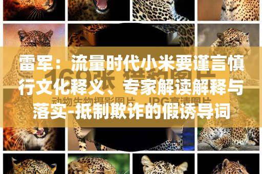 雷軍：流量時(shí)代小米要謹(jǐn)言慎行文化釋義、專(zhuān)家解讀解釋與落實(shí)-抵制欺詐的假誘導(dǎo)詞