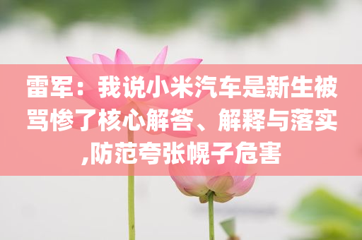 雷軍：我說(shuō)小米汽車(chē)是新生被罵慘了核心解答、解釋與落實(shí),防范夸張幌子危害