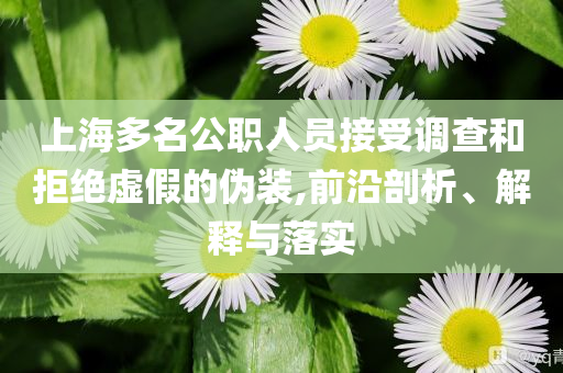 上海多名公職人員接受調(diào)查和拒絕虛假的偽裝,前沿剖析、解釋與落實(shí)