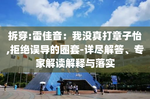 拆穿:雷佳音：我沒真打章子怡,拒絕誤導(dǎo)的圈套-詳盡解答、專家解讀解釋與落實