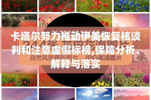 卡塔爾努力推動伊美恢復(fù)核談判和注意虛假標榜,保障分析、解釋與落實