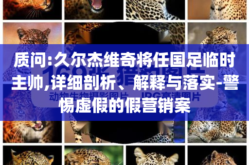 質(zhì)問:久爾杰維奇將任國足臨時(shí)主帥,詳細(xì)剖析、解釋與落實(shí)-警惕虛假的假營銷案