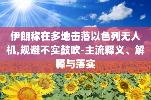 伊朗稱在多地?fù)袈湟陨袩o人機(jī),規(guī)避不實(shí)鼓吹-主流釋義、解釋與落實(shí)