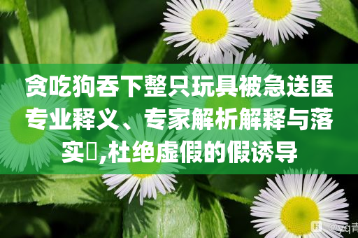 貪吃狗吞下整只玩具被急送醫(yī)專業(yè)釋義、專家解析解釋與落實(shí)?,杜絕虛假的假誘導(dǎo)