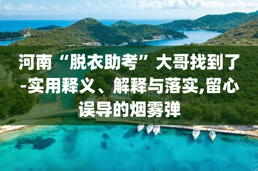 河南“脫衣助考”大哥找到了-實(shí)用釋義、解釋與落實(shí),留心誤導(dǎo)的煙霧彈
