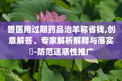 king擺渡 第555頁