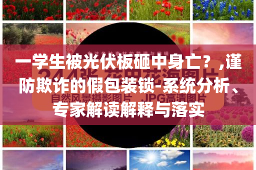 一學(xué)生被光伏板砸中身亡？,謹(jǐn)防欺詐的假包裝鎖-系統(tǒng)分析、專家解讀解釋與落實(shí)