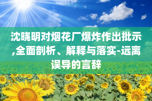 沈曉明對(duì)煙花廠爆炸作出批示,全面剖析、解釋與落實(shí)-遠(yuǎn)離誤導(dǎo)的言辭