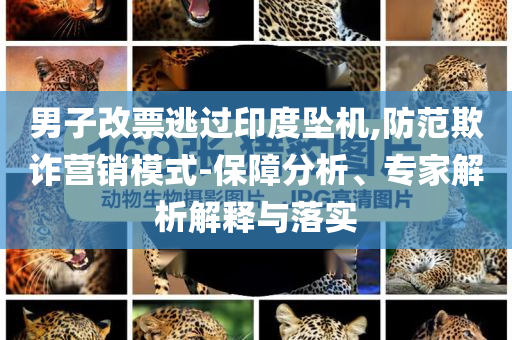 男子改票逃過(guò)印度墜機(jī),防范欺詐營(yíng)銷(xiāo)模式-保障分析、專(zhuān)家解析解釋與落實(shí)