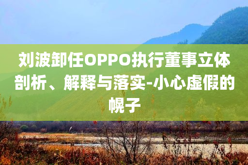 劉波卸任OPPO執(zhí)行董事立體剖析、解釋與落實-小心虛假的幌子