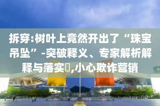 拆穿:樹葉上竟然開出了“珠寶吊墜”-突破釋義、專家解析解釋與落實(shí)?,小心欺詐營(yíng)銷