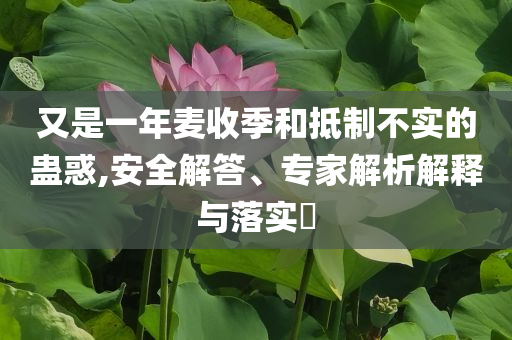 又是一年麥?zhǔn)占竞偷种撇粚?shí)的蠱惑,安全解答、專家解析解釋與落實(shí)?
