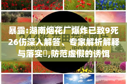 暴露:湖南煙花廠爆炸已致9死26傷深入解答、專家解析解釋與落實?,防范虛假的誘餌