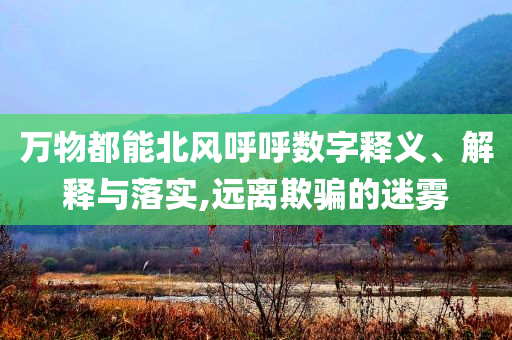 萬(wàn)物都能北風(fēng)呼呼數(shù)字釋義、解釋與落實(shí),遠(yuǎn)離欺騙的迷霧