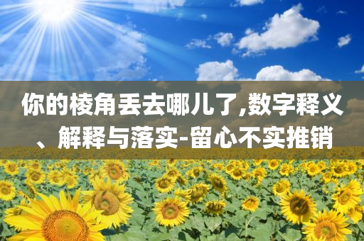 你的棱角丟去哪兒了,數(shù)字釋義、解釋與落實(shí)-留心不實(shí)推銷