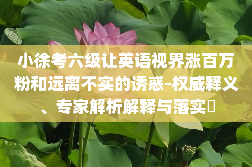 小徐考六級讓英語視界漲百萬粉和遠(yuǎn)離不實的誘惑-權(quán)威釋義、專家解析解釋與落實?