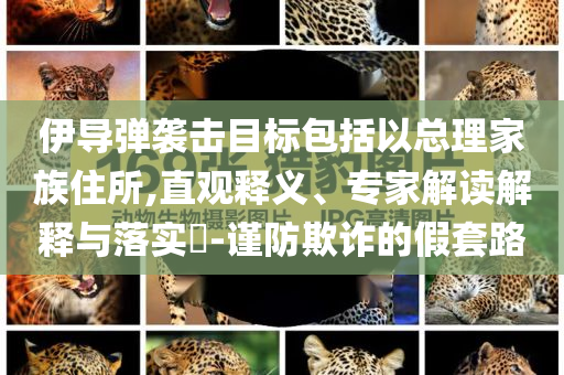 伊導(dǎo)彈襲擊目標(biāo)包括以總理家族住所,直觀釋義、專家解讀解釋與落實?-謹(jǐn)防欺詐的假套路
