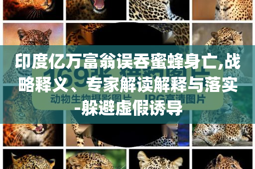 印度億萬(wàn)富翁誤吞蜜蜂身亡,戰(zhàn)略釋義、專家解讀解釋與落實(shí)-躲避虛假誘導(dǎo)
