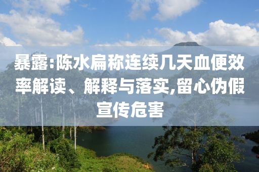 暴露:陳水扁稱連續(xù)幾天血便效率解讀、解釋與落實,留心偽假宣傳危害