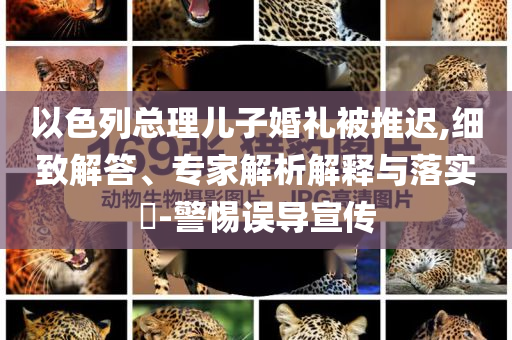 以色列總理兒子婚禮被推遲,細致解答、專家解析解釋與落實?-警惕誤導(dǎo)宣傳
