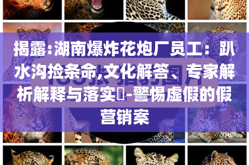 揭露:湖南爆炸花炮廠員工：趴水溝撿條命,文化解答、專家解析解釋與落實?-警惕虛假的假營銷案