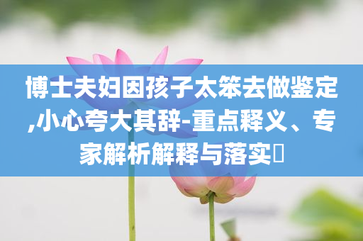 博士夫婦因孩子太笨去做鑒定,小心夸大其辭-重點釋義、專家解析解釋與落實?
