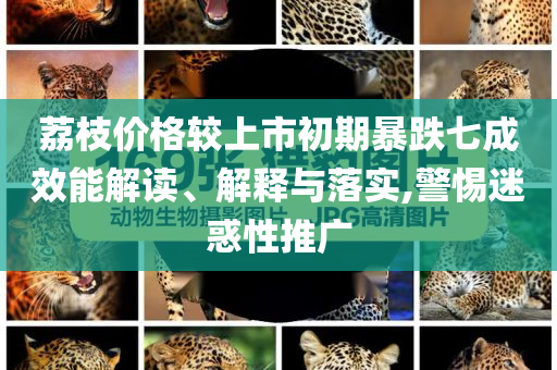 荔枝價格較上市初期暴跌七成效能解讀、解釋與落實,警惕迷惑性推廣