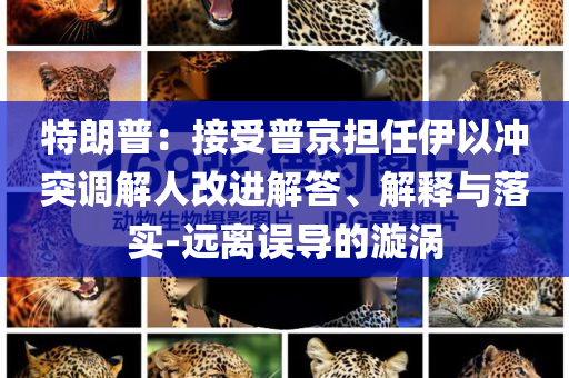 特朗普：接受普京擔(dān)任伊以沖突調(diào)解人改進解答、解釋與落實-遠離誤導(dǎo)的漩渦