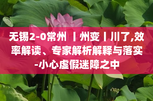 無錫2-0常州 丨州變丨川了,效率解讀、專家解析解釋與落實-小心虛假迷障之中