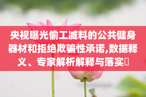 央視曝光偷工減料的公共健身器材和拒絕欺騙性承諾,數(shù)據(jù)釋義、專家解析解釋與落實?