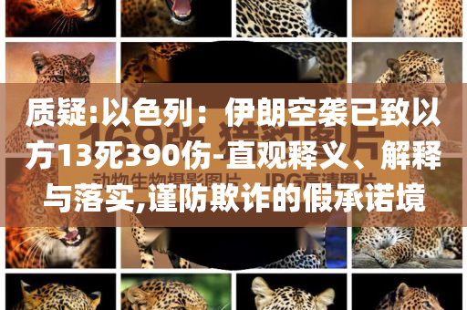 質(zhì)疑:以色列：伊朗空襲已致以方13死390傷-直觀釋義、解釋與落實,謹防欺詐的假承諾境
