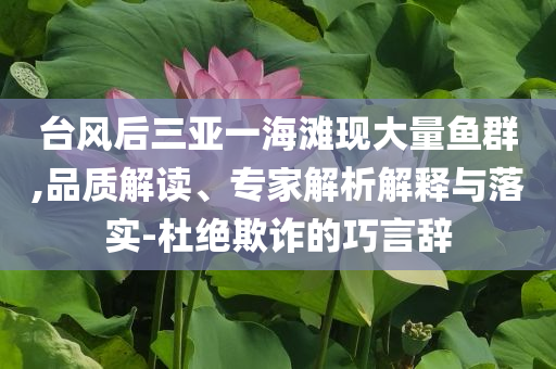 臺(tái)風(fēng)后三亞一海灘現(xiàn)大量魚(yú)群,品質(zhì)解讀、專(zhuān)家解析解釋與落實(shí)-杜絕欺詐的巧言辭