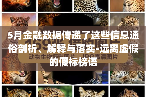 5月金融數(shù)據(jù)傳遞了這些信息通俗剖析、解釋與落實(shí)-遠(yuǎn)離虛假的假標(biāo)榜語