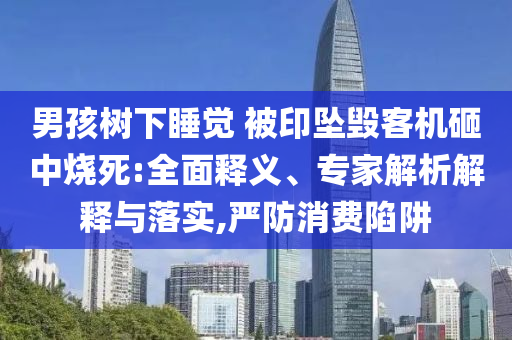 男孩樹下睡覺 被印墜毀客機(jī)砸中燒死:全面釋義、專家解析解釋與落實(shí),嚴(yán)防消費(fèi)陷阱