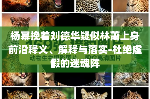 楊冪挽著劉德華疑似林蕭上身前沿釋義、解釋與落實(shí)-杜絕虛假的迷魂陣