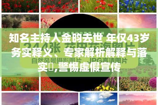 知名主持人金昀去世 年僅43歲務(wù)實(shí)釋義、專家解析解釋與落實(shí)?,警惕虛假宣傳