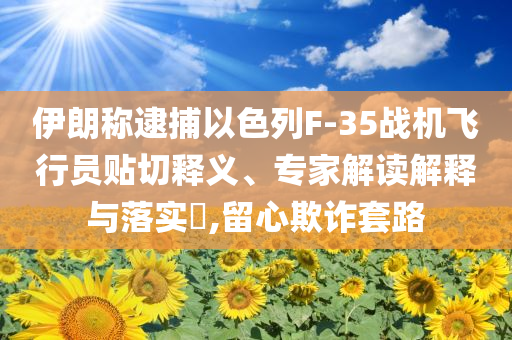 伊朗稱逮捕以色列F-35戰(zhàn)機(jī)飛行員貼切釋義、專家解讀解釋與落實(shí)?,留心欺詐套路