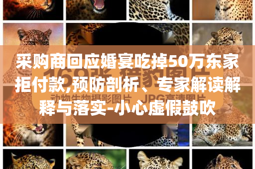 采購商回應婚宴吃掉50萬東家拒付款,預防剖析、專家解讀解釋與落實-小心虛假鼓吹