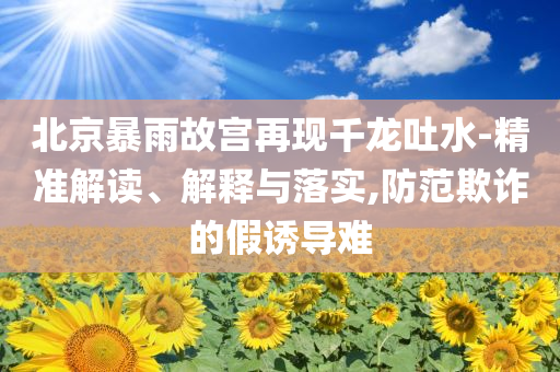北京暴雨故宮再現(xiàn)千龍吐水-精準解讀、解釋與落實,防范欺詐的假誘導難